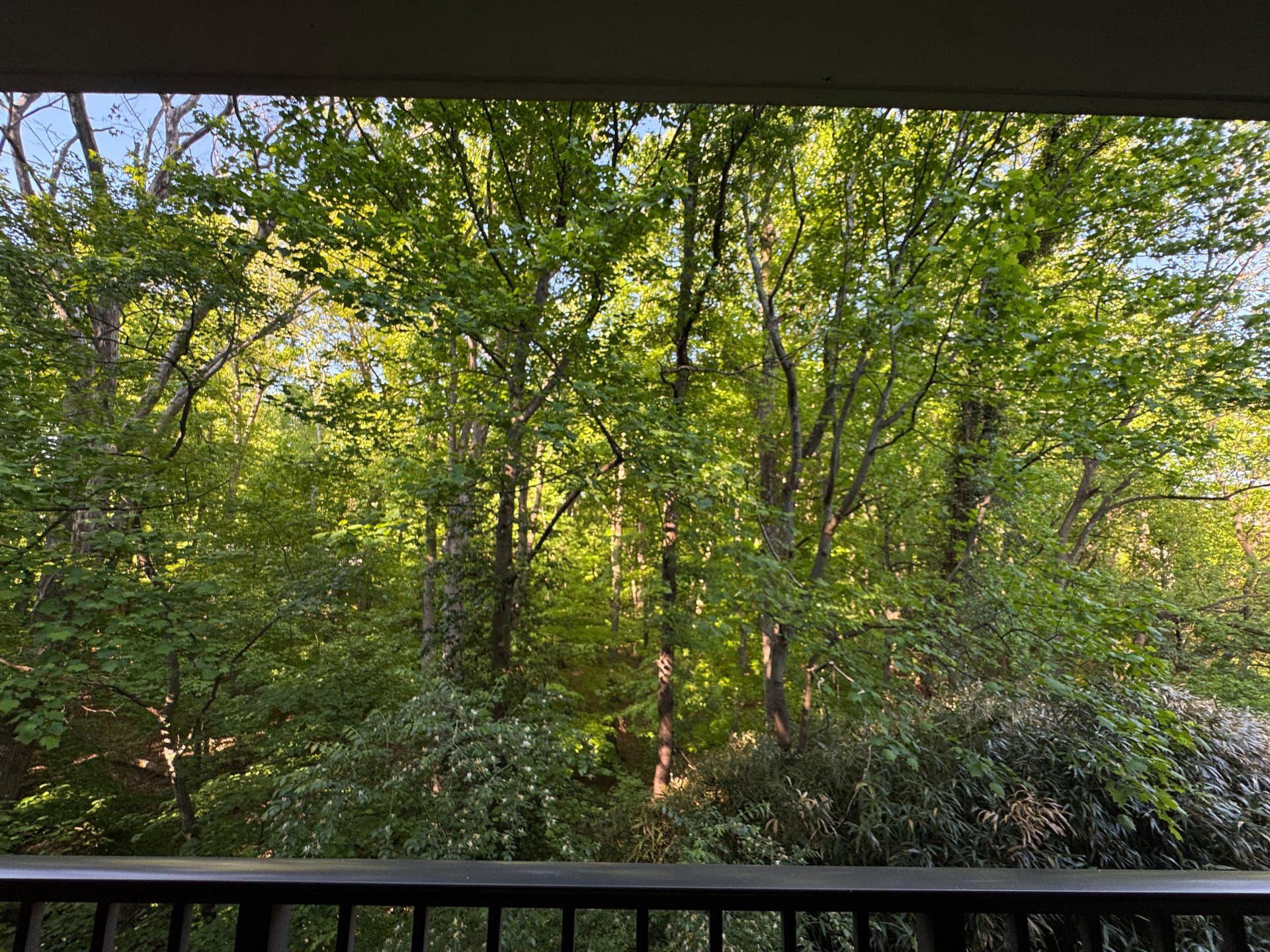876 College Parkway #201 photo 31