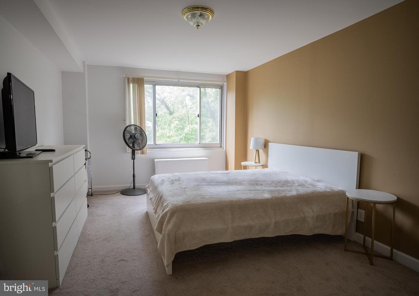 1900 Lyttonsville Road #514 photo 4