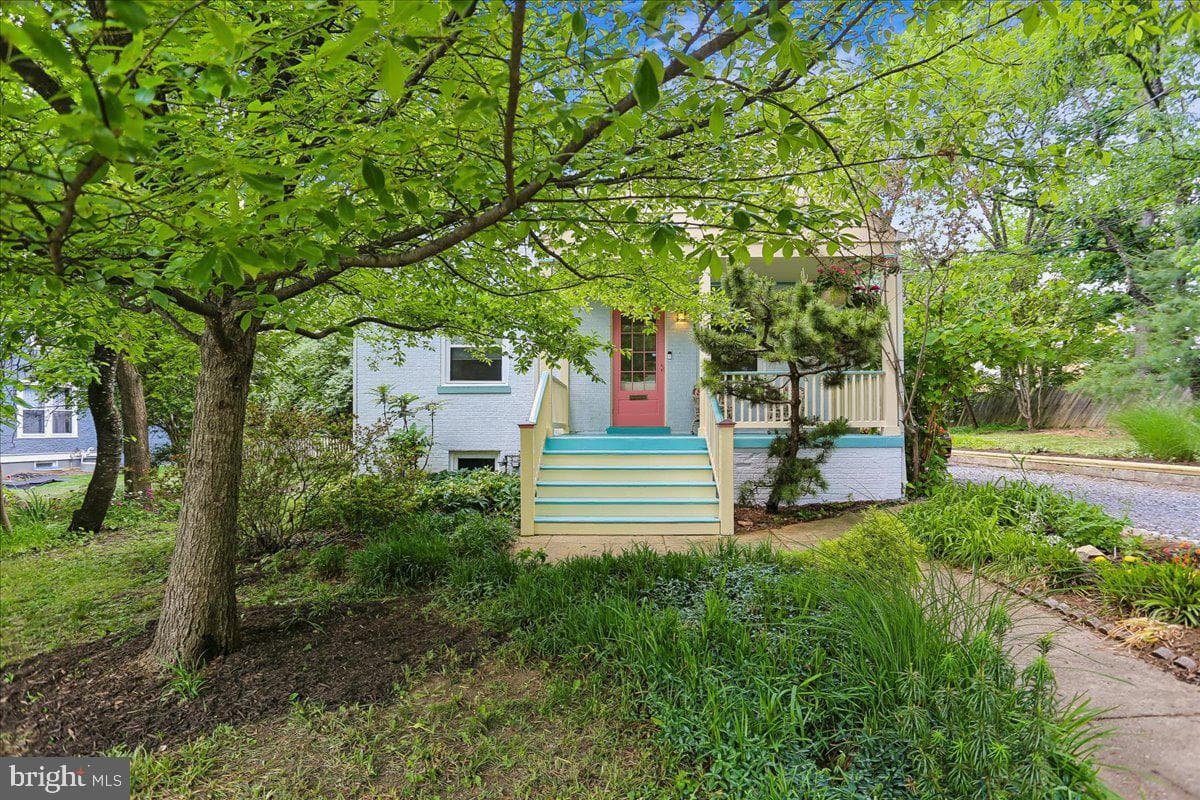 9 Pine Avenue photo 103