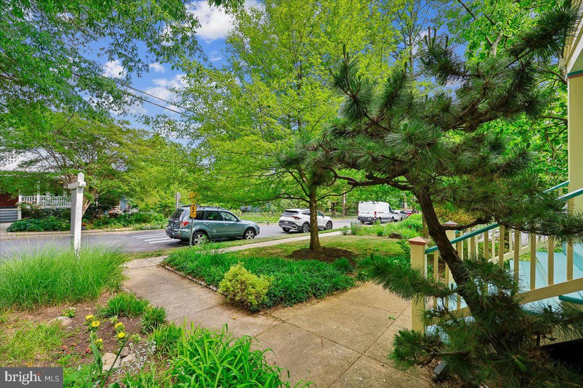 9 Pine Avenue photo 21