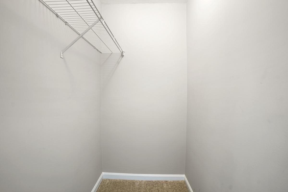 13762 Palmetto Circle #13762 photo 23