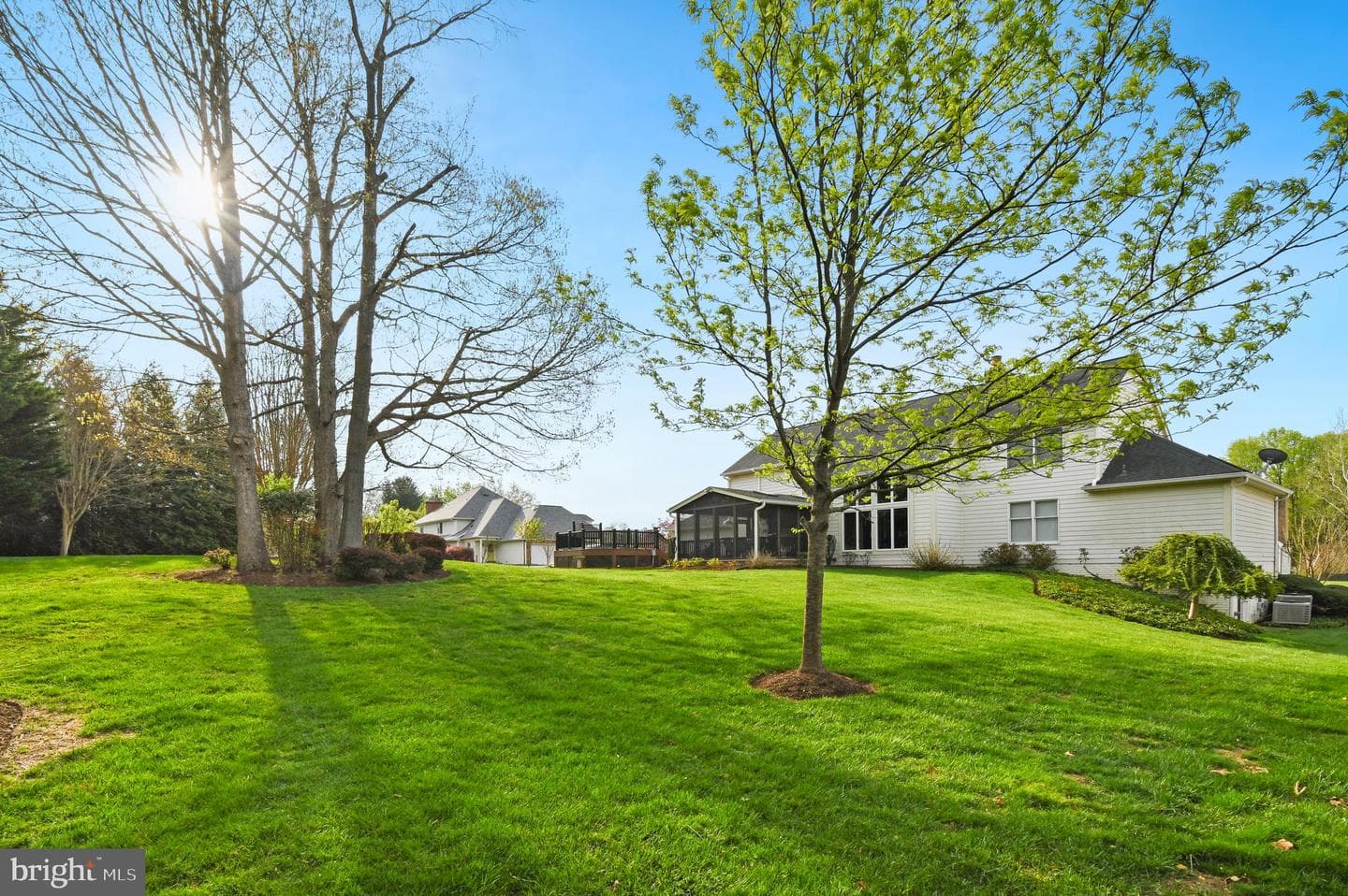 7427 Ottenbrook Terrace photo 47