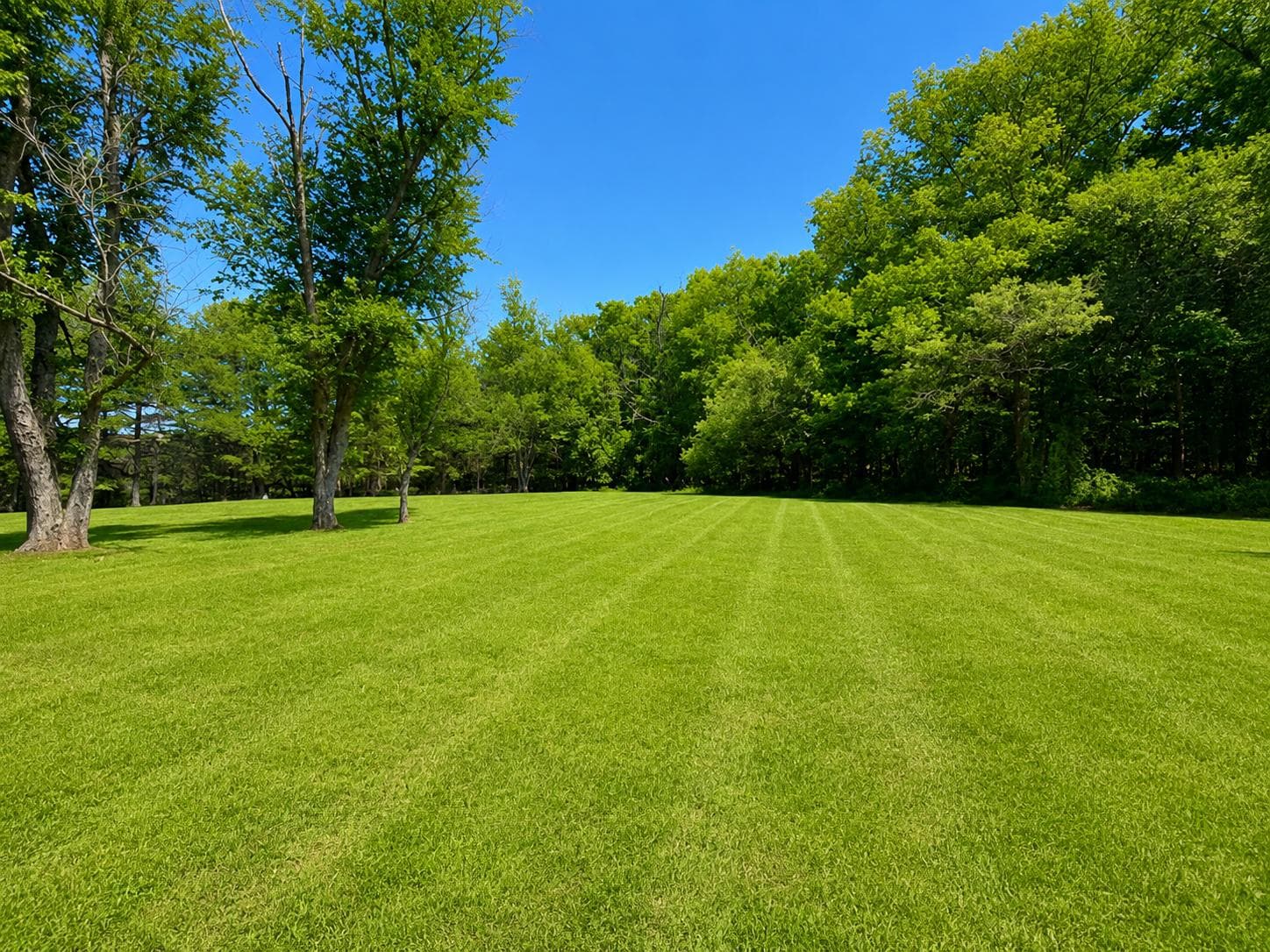 13 Gregg Court photo 19