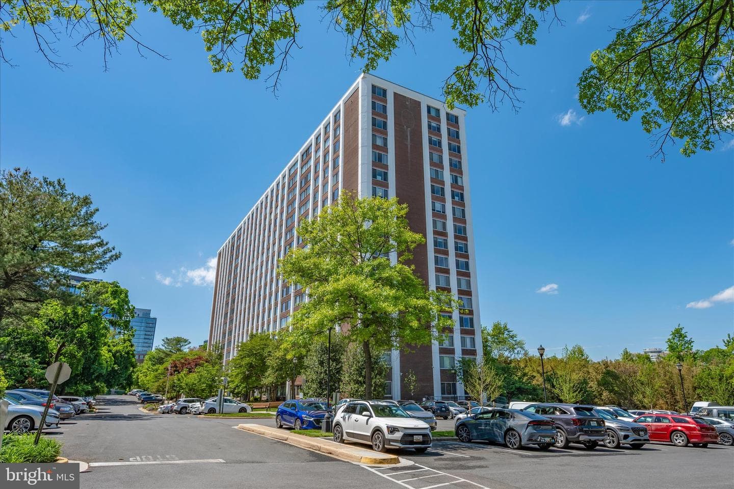 11801 Rockville Pike #508 photo 7