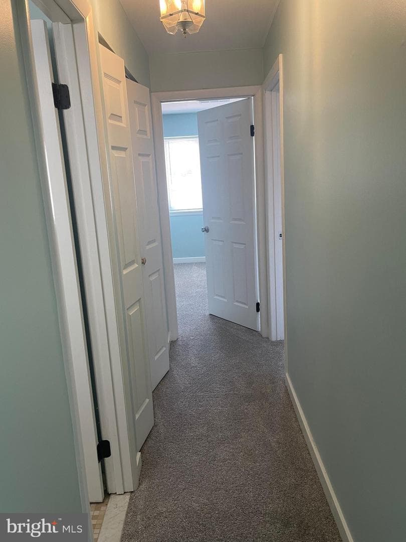 10106 Little Pond Place #5 photo 31