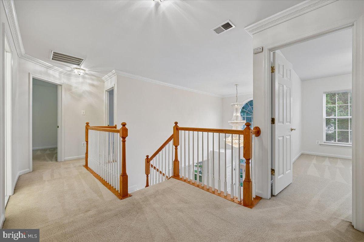 11416 Ramsburg Court photo 57