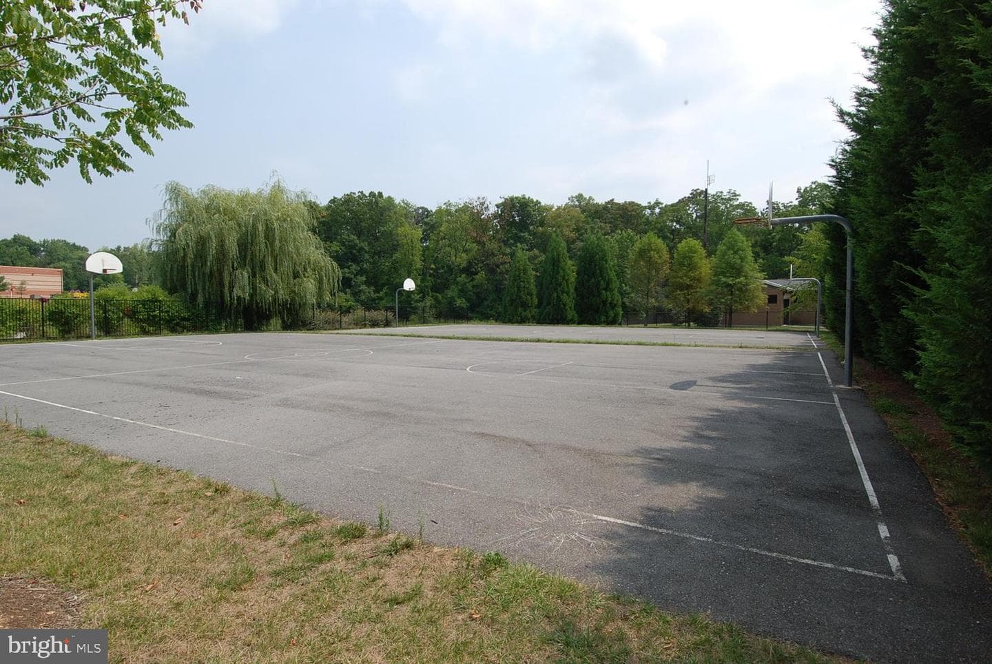 11603 Seneca Forest Circle photo 56