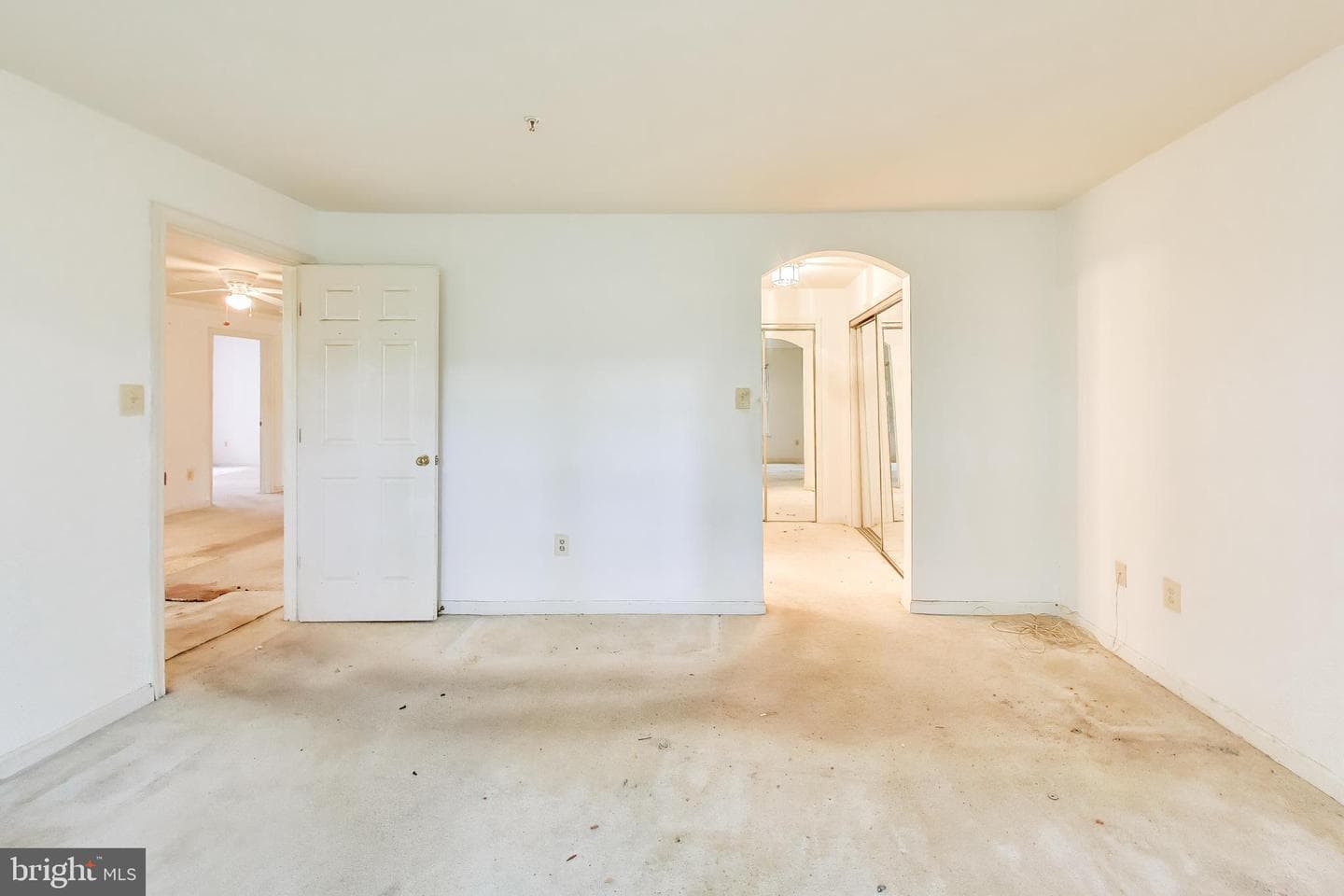 121 Timberbrook Lane #203 photo 15