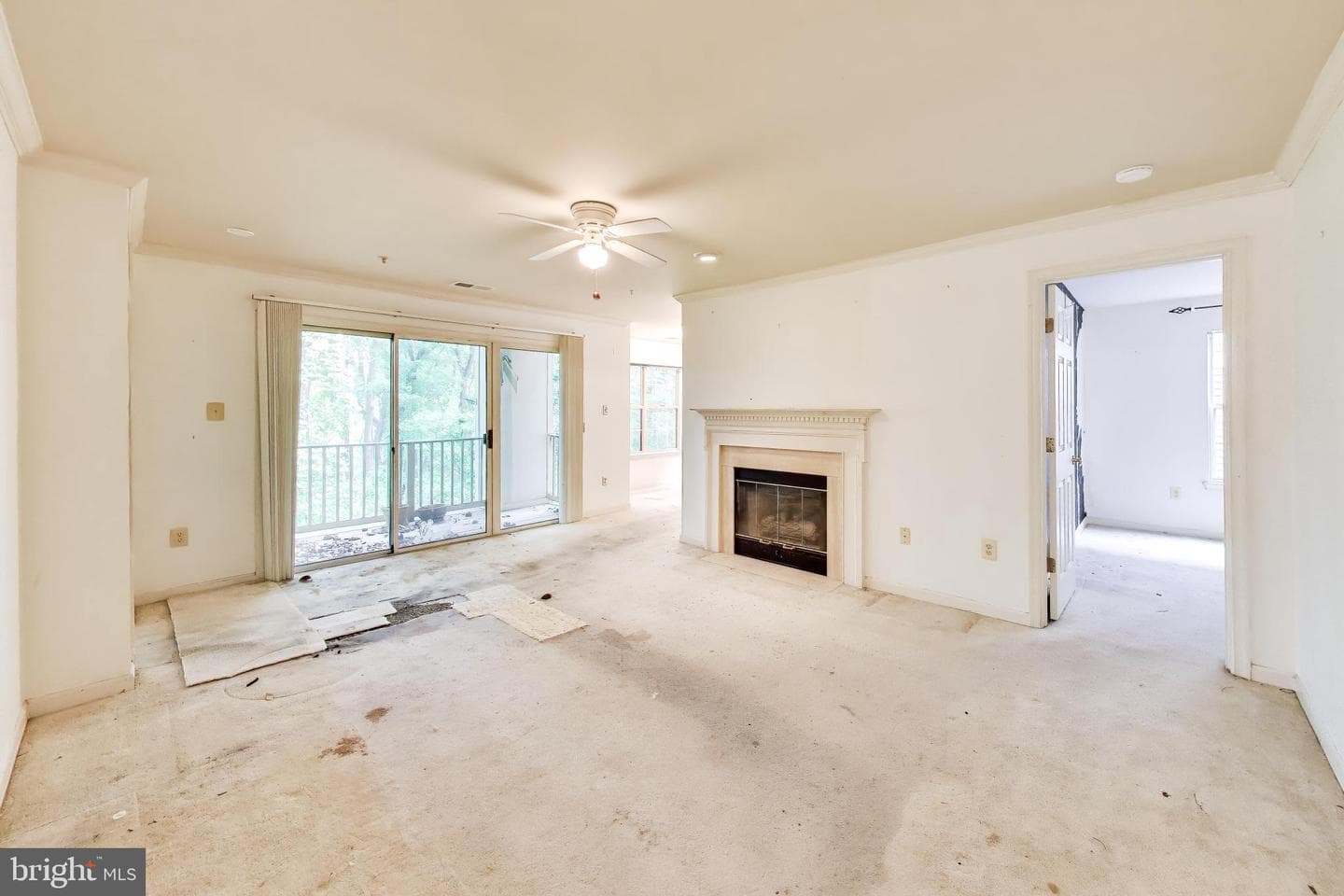 121 Timberbrook Lane #203 photo 6