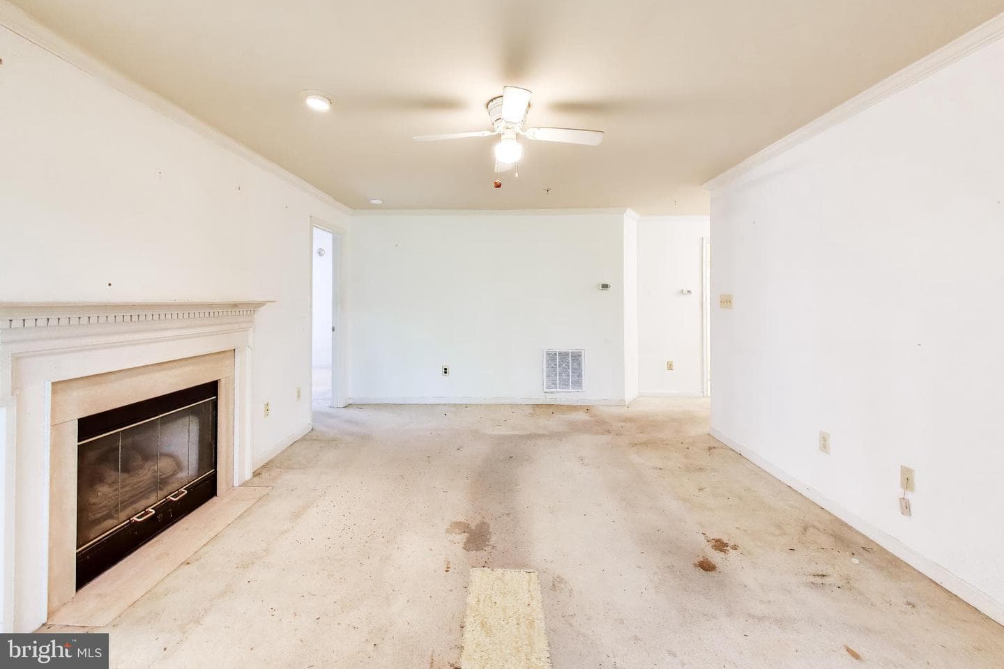 121 Timberbrook Lane #203 photo 7