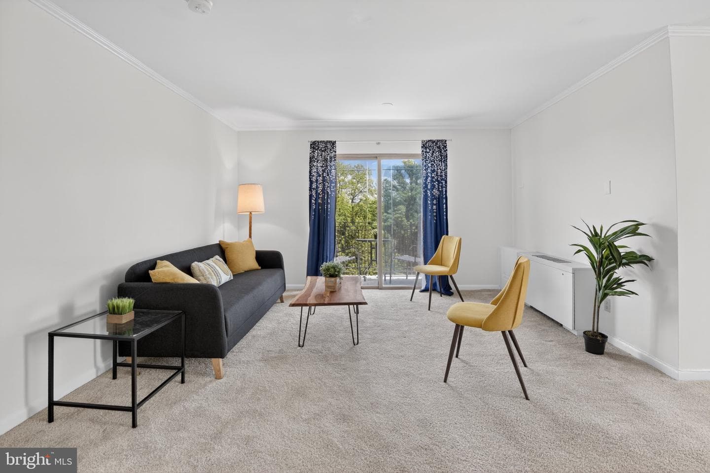 614 Sligo Avenue #504 photo 3
