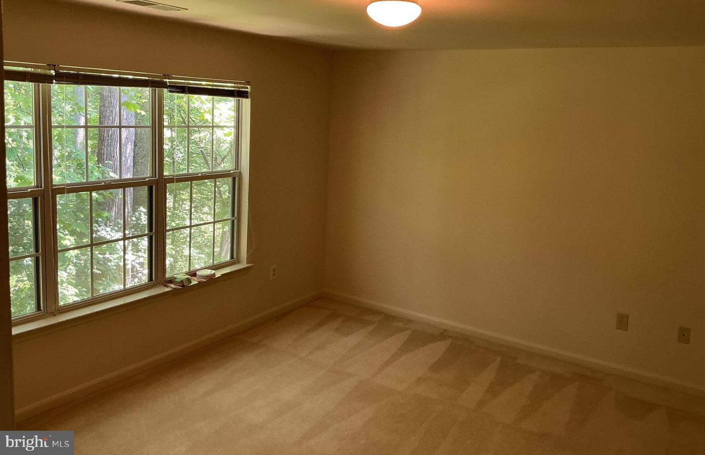127 Timberbrook Lane #202 photo 13