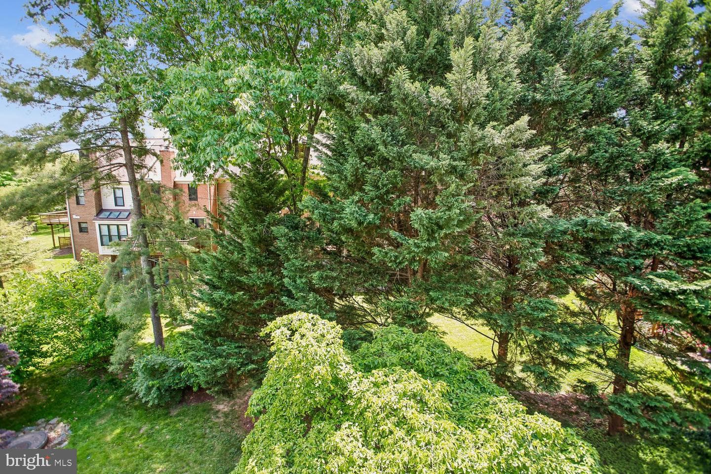 5229 King Charles Way #1-6 photo 27