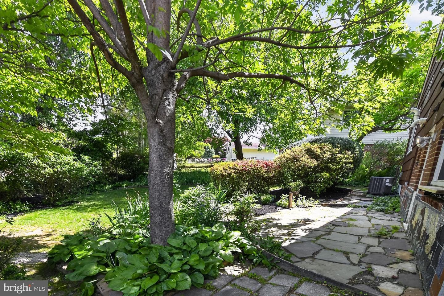 4401 Ferrara Drive photo 31