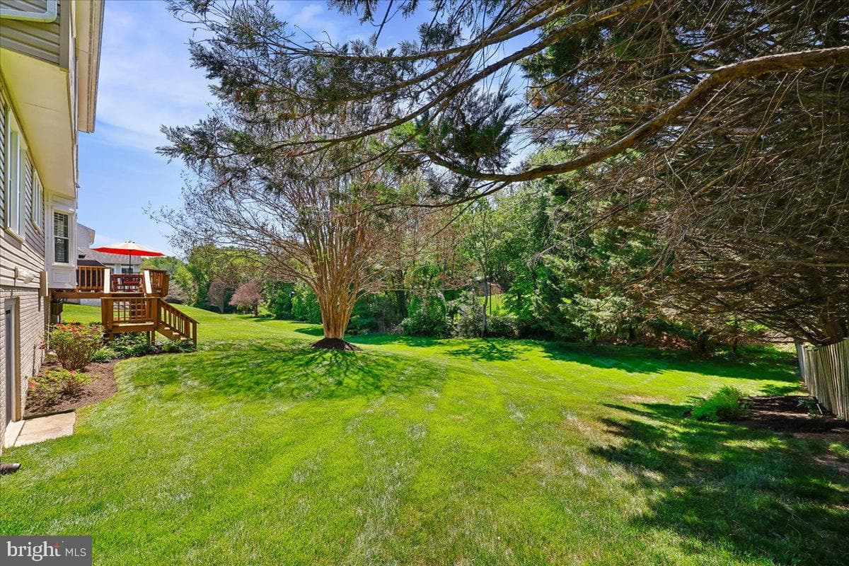 14304 Shoreham Drive photo 102