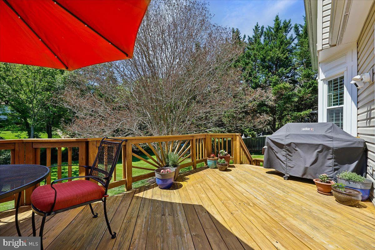 14304 Shoreham Drive photo 49