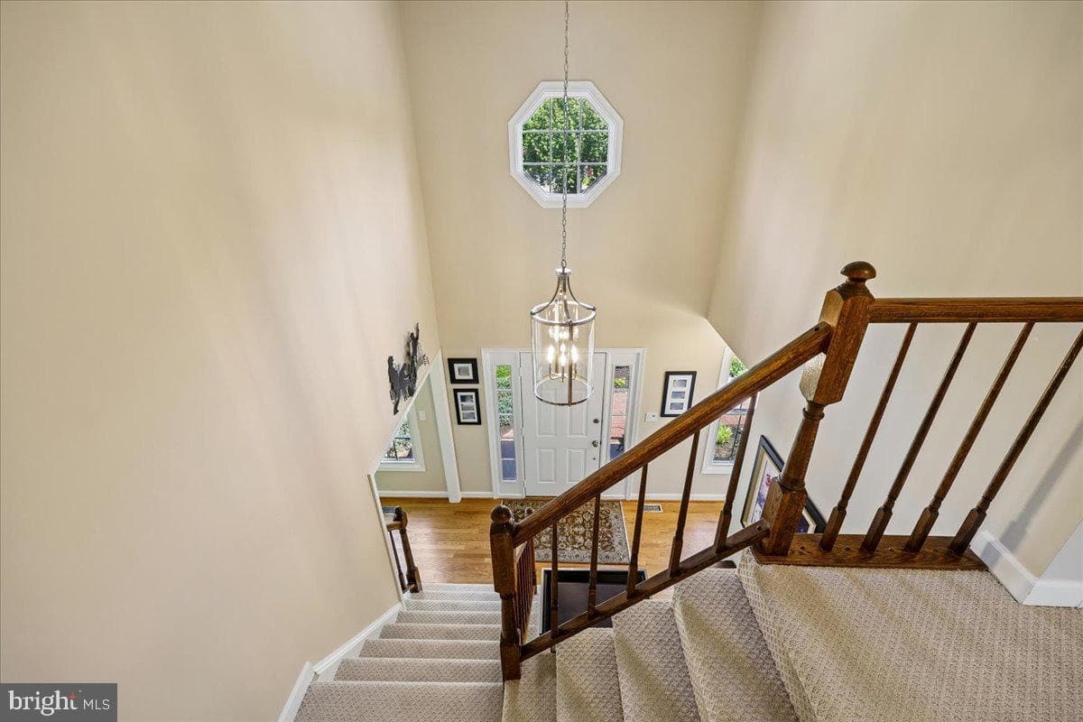 14304 Shoreham Drive photo 54