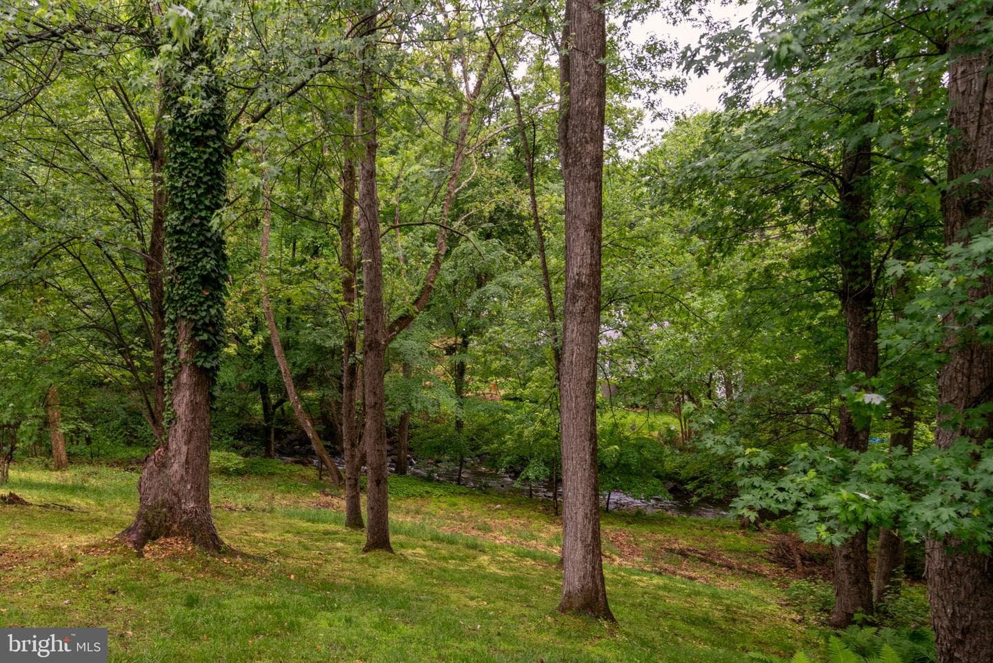 14010 Flint Rock Road photo 59