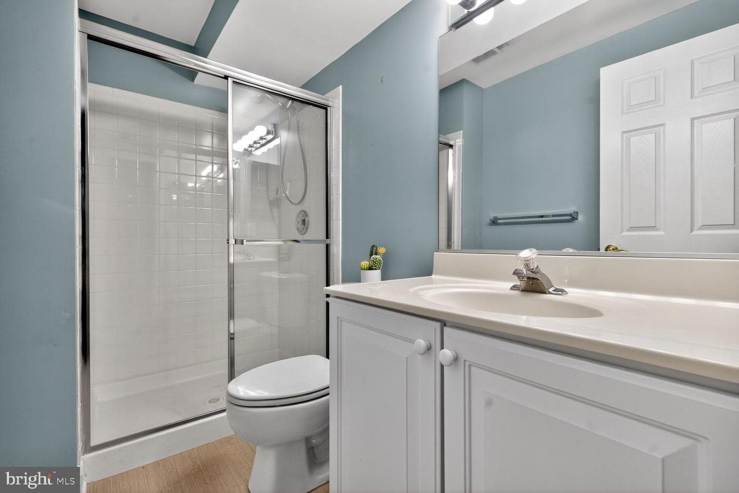 414 Summer Garden Way photo 47