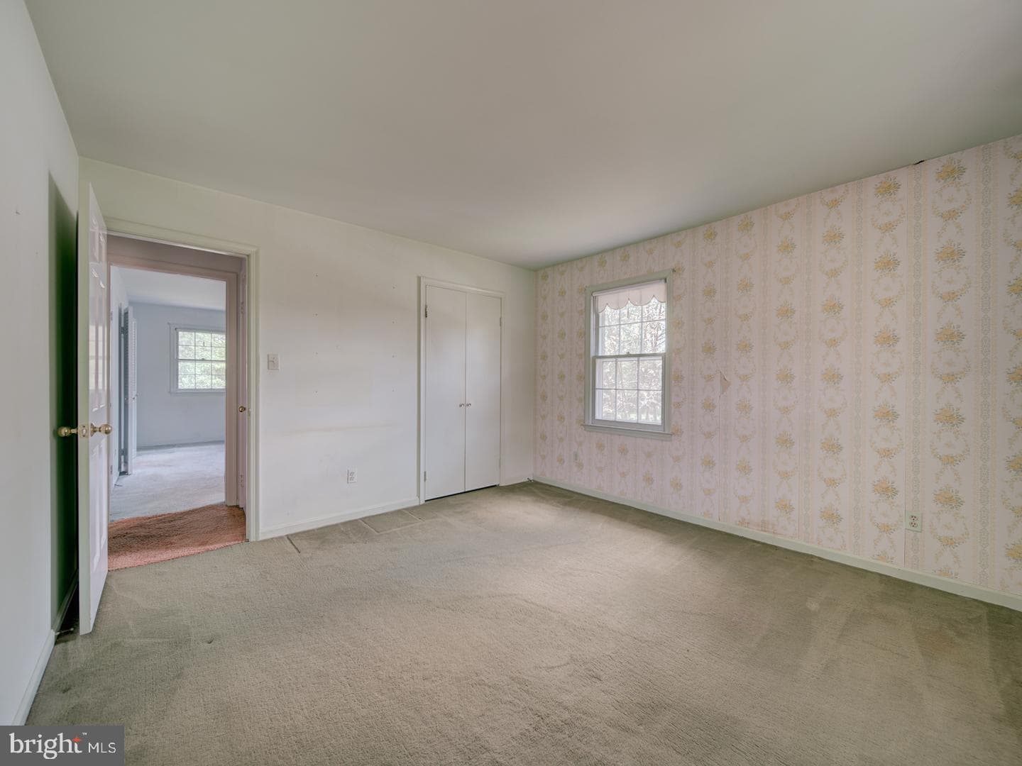 15313 Basswood Court photo 19