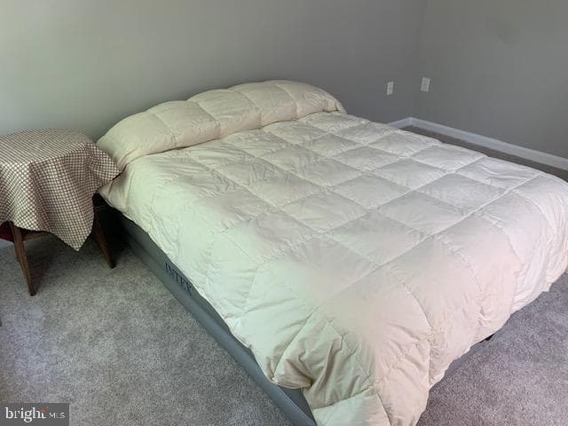 2621 Telluride Place photo 104