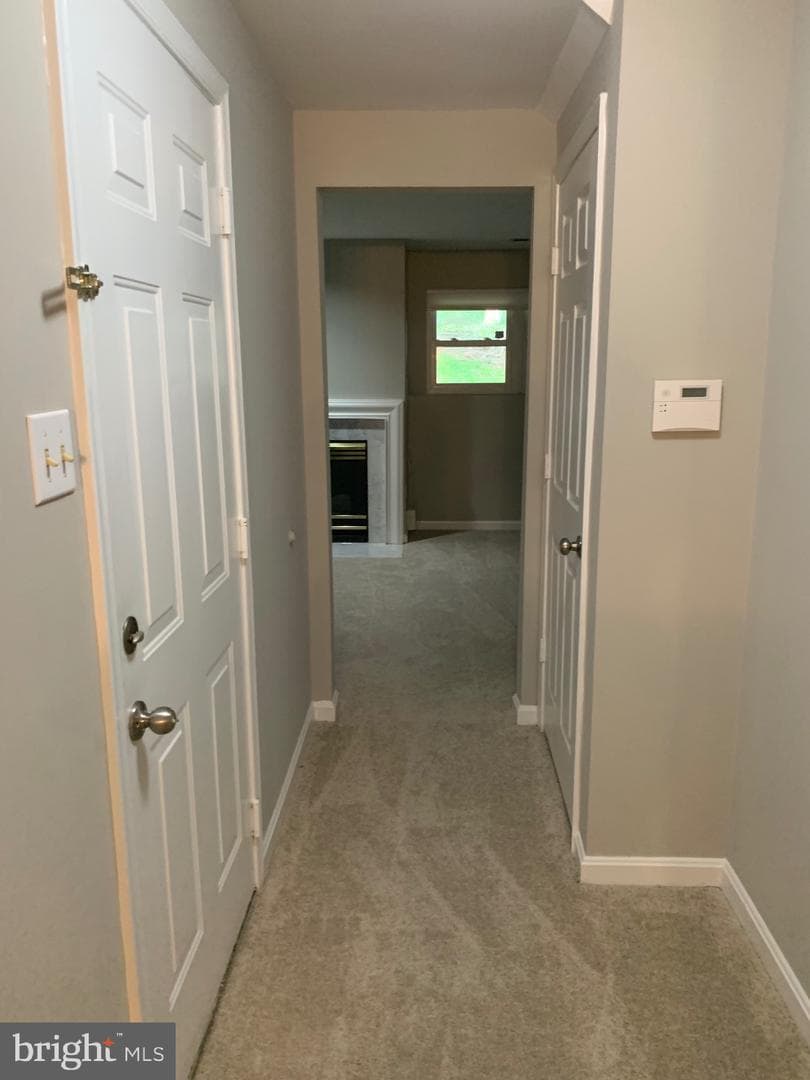 2621 Telluride Place photo 62