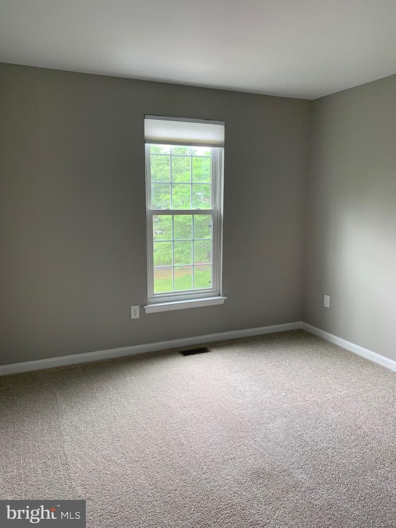 2621 Telluride Place photo 80