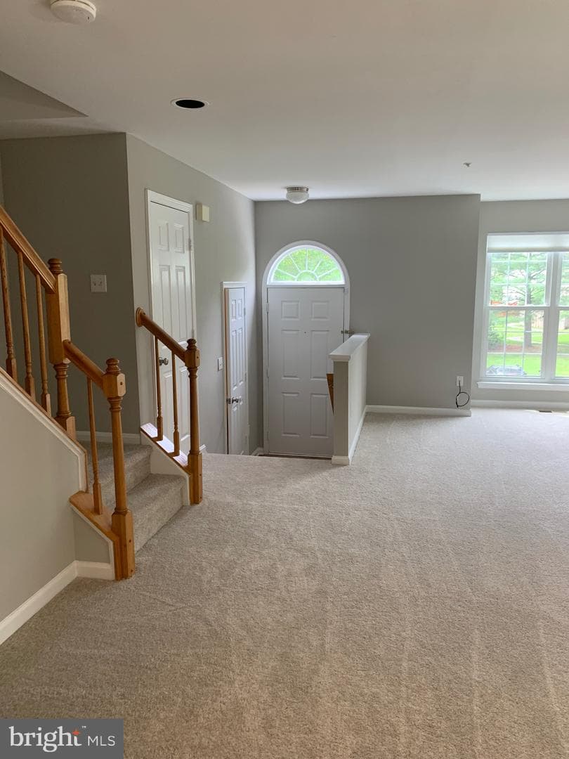 2621 Telluride Place photo 85