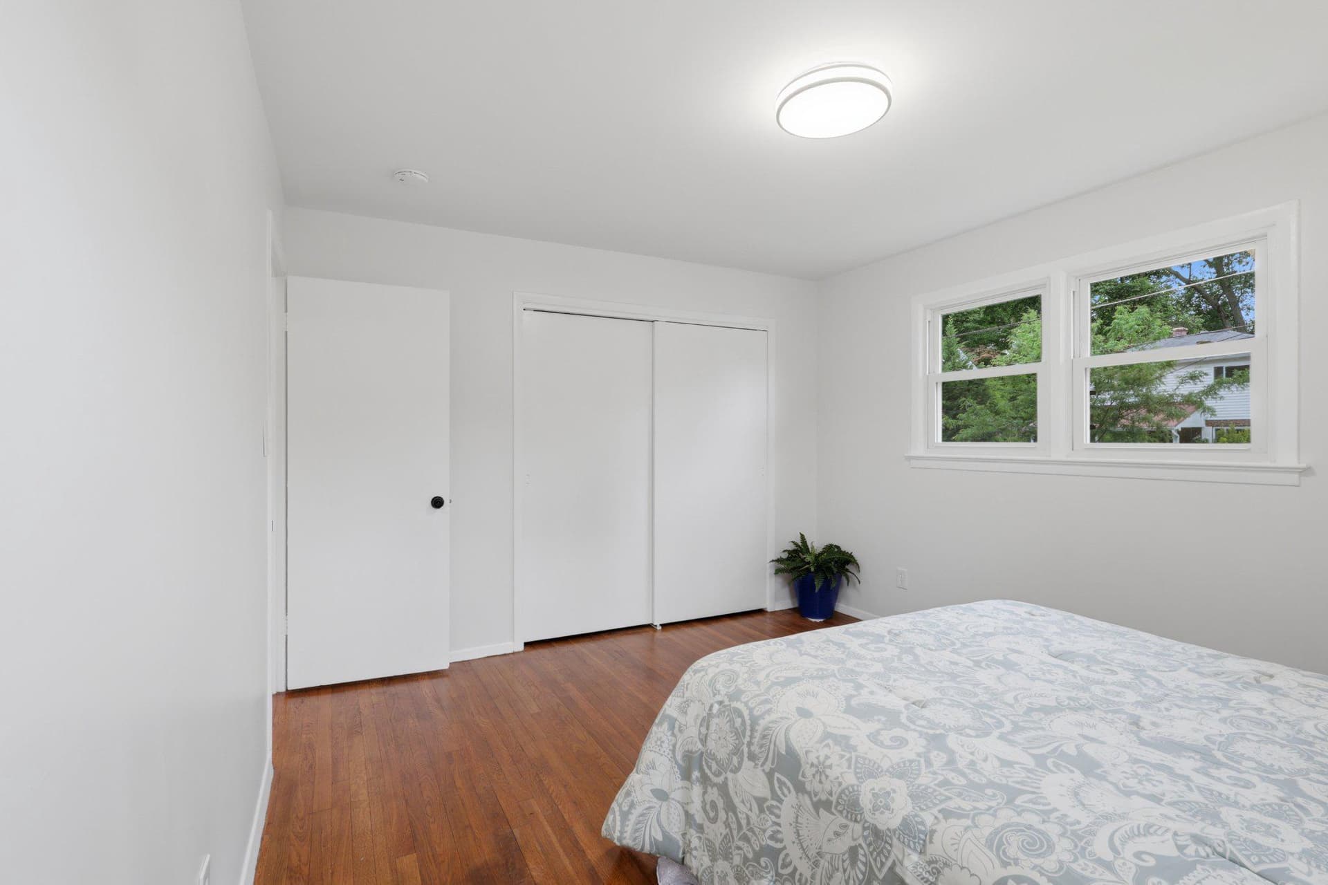 403 Carl Street photo 21