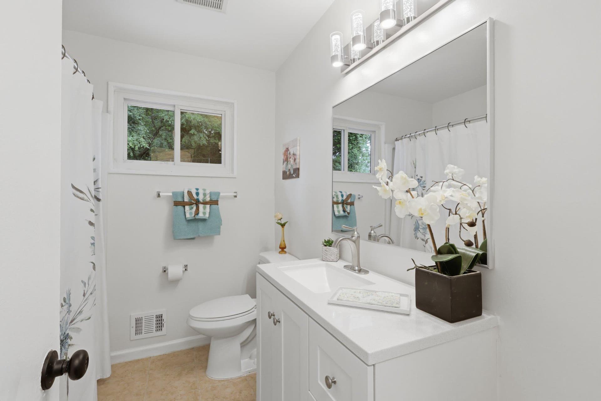 403 Carl Street photo 27