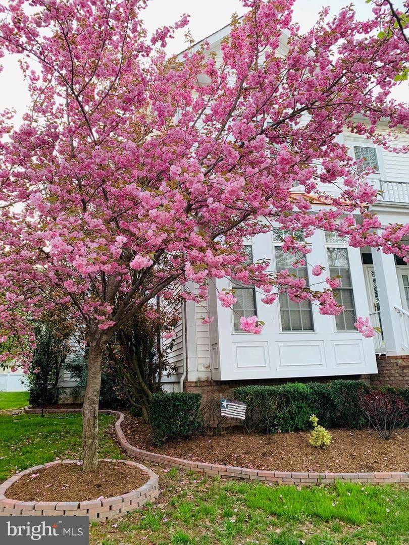 217 Watkins Circle photo 77