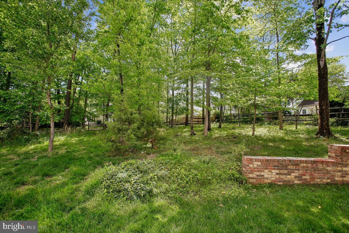 9208 Fall River Lane photo 50