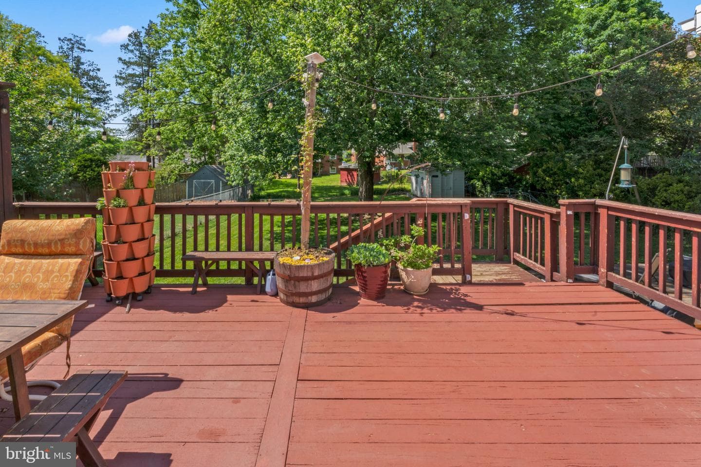 12620 Grace Max Street photo 38