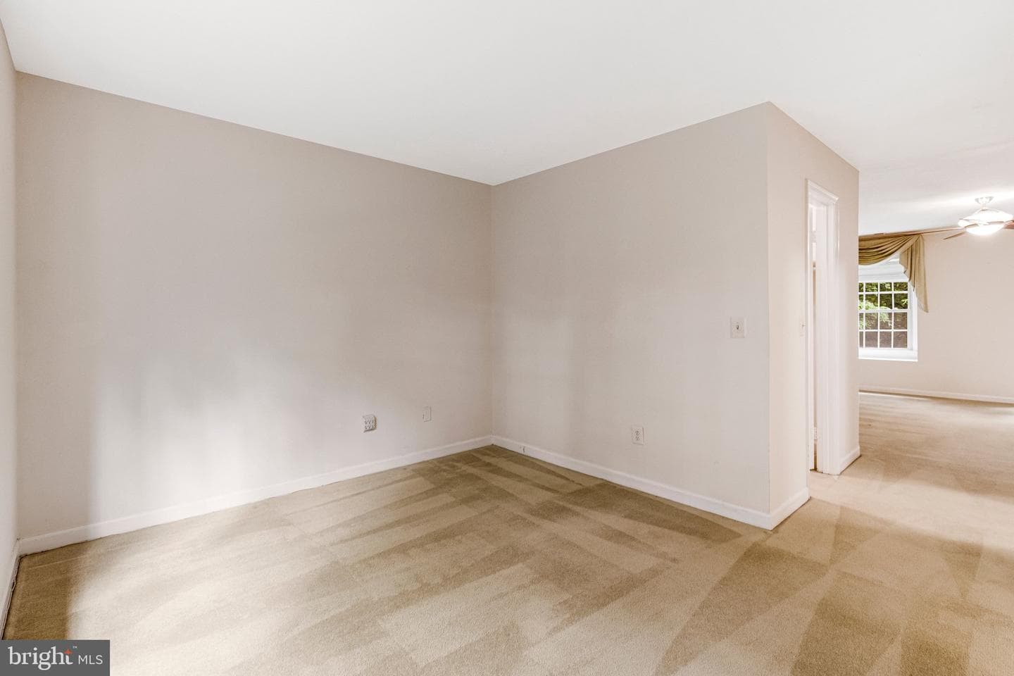 10009 New London Drive photo 50