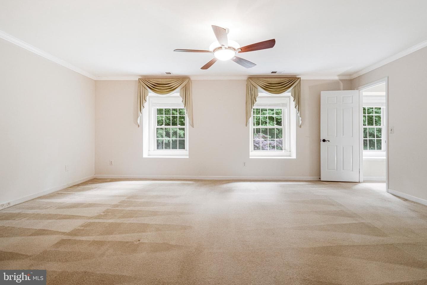 10009 New London Drive photo 51