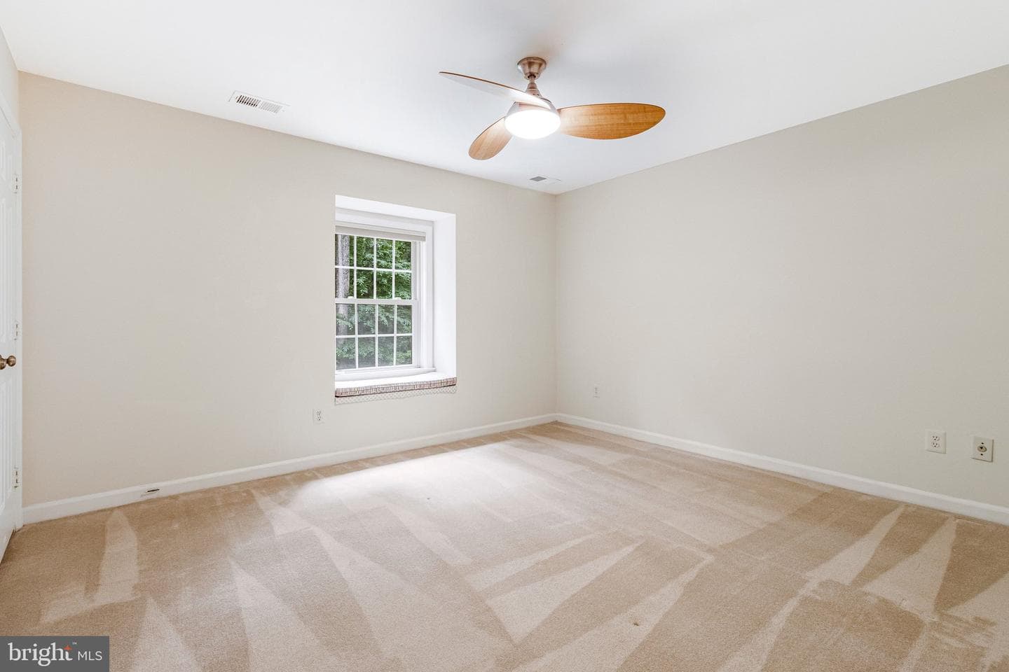 10009 New London Drive photo 55