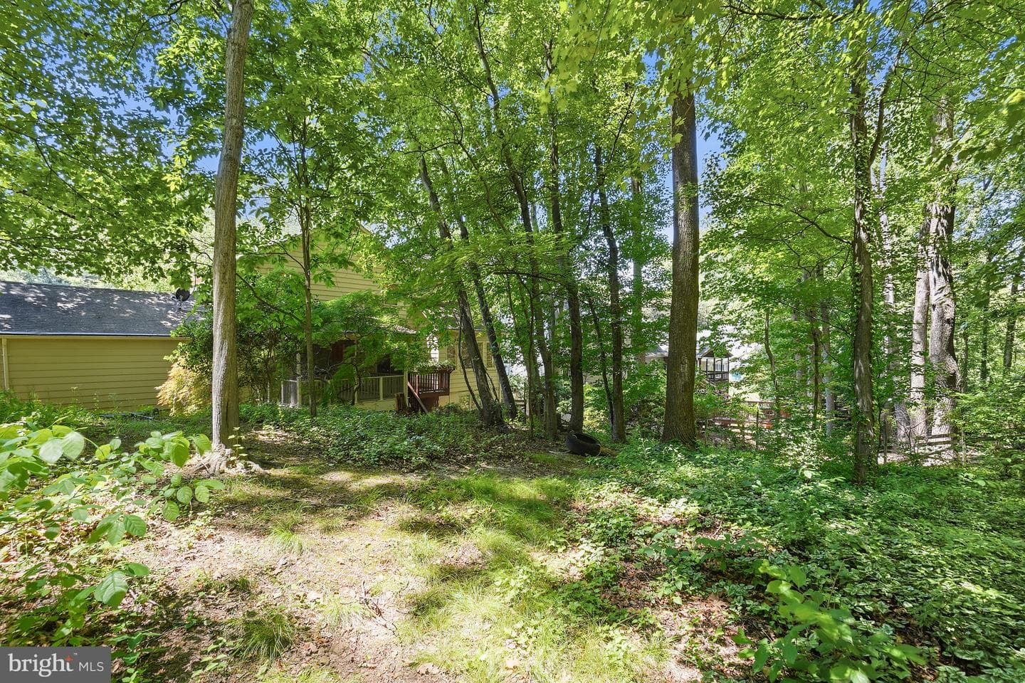 7705 Ivymount Terrace photo 29