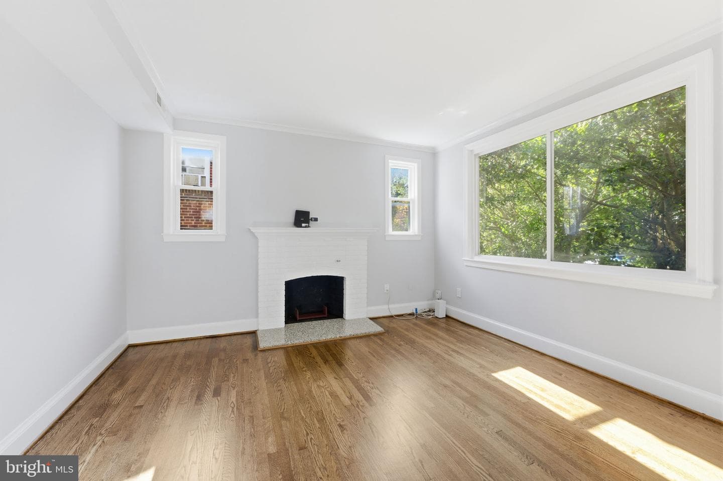 8209 Flower Avenue photo 46