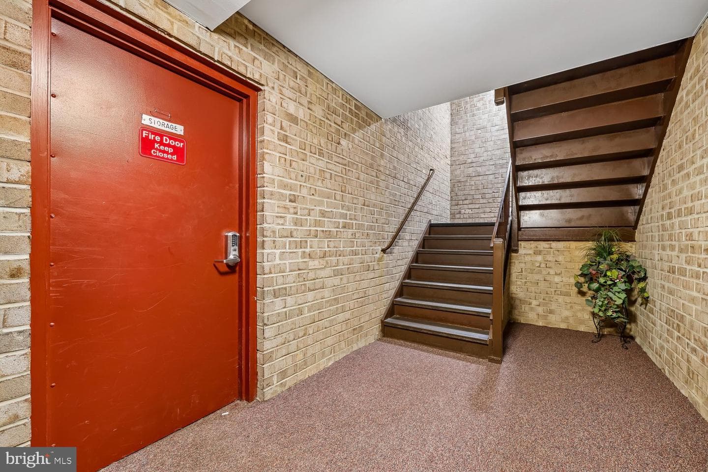 421 Christopher Avenue #14 photo 66
