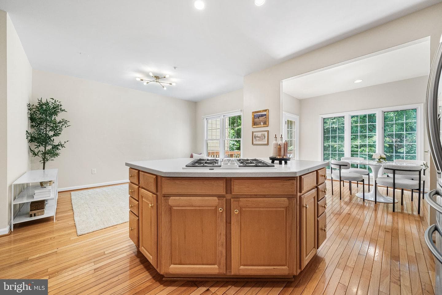 135 Wootton Oaks Court photo 31