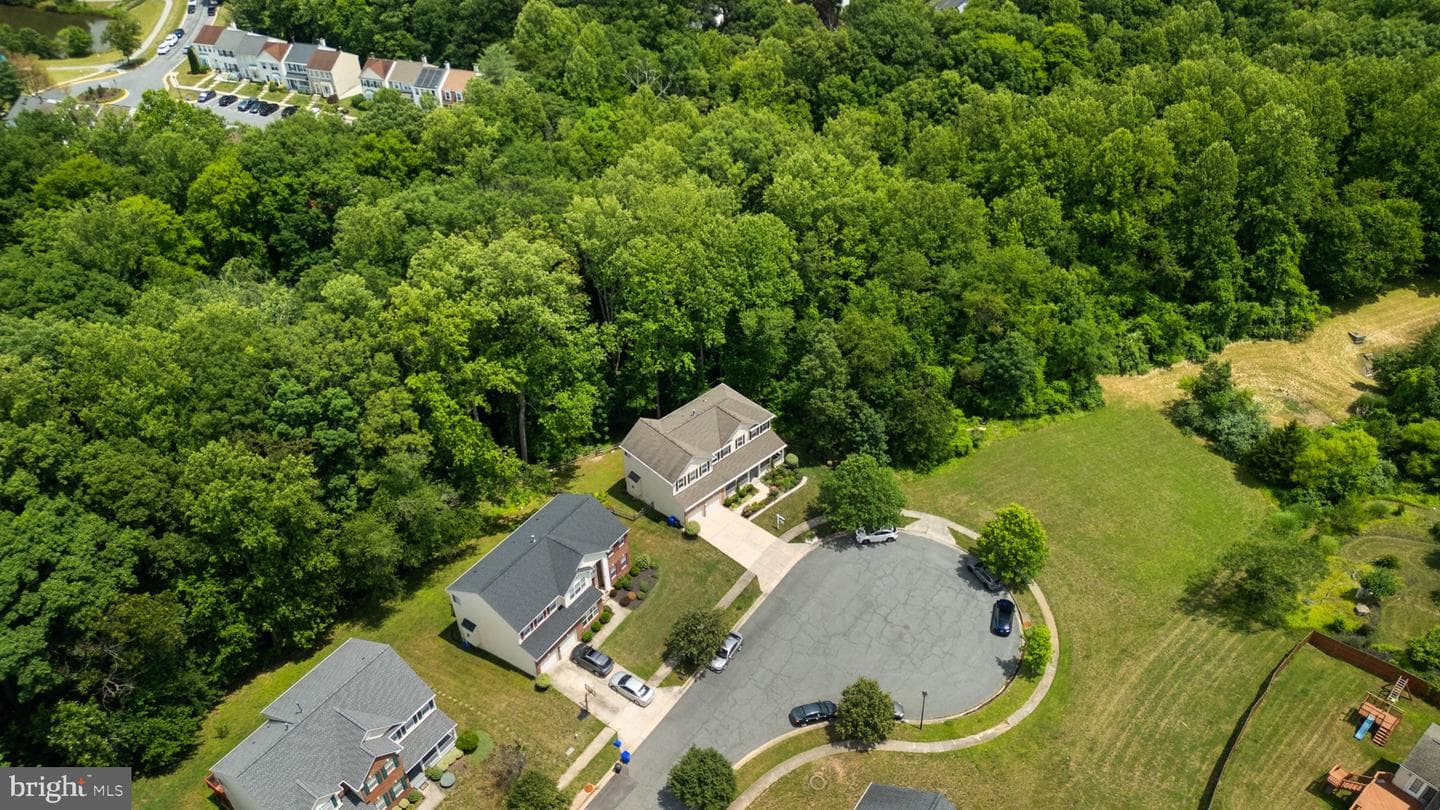4012 Cotton Tree Lane photo 3
