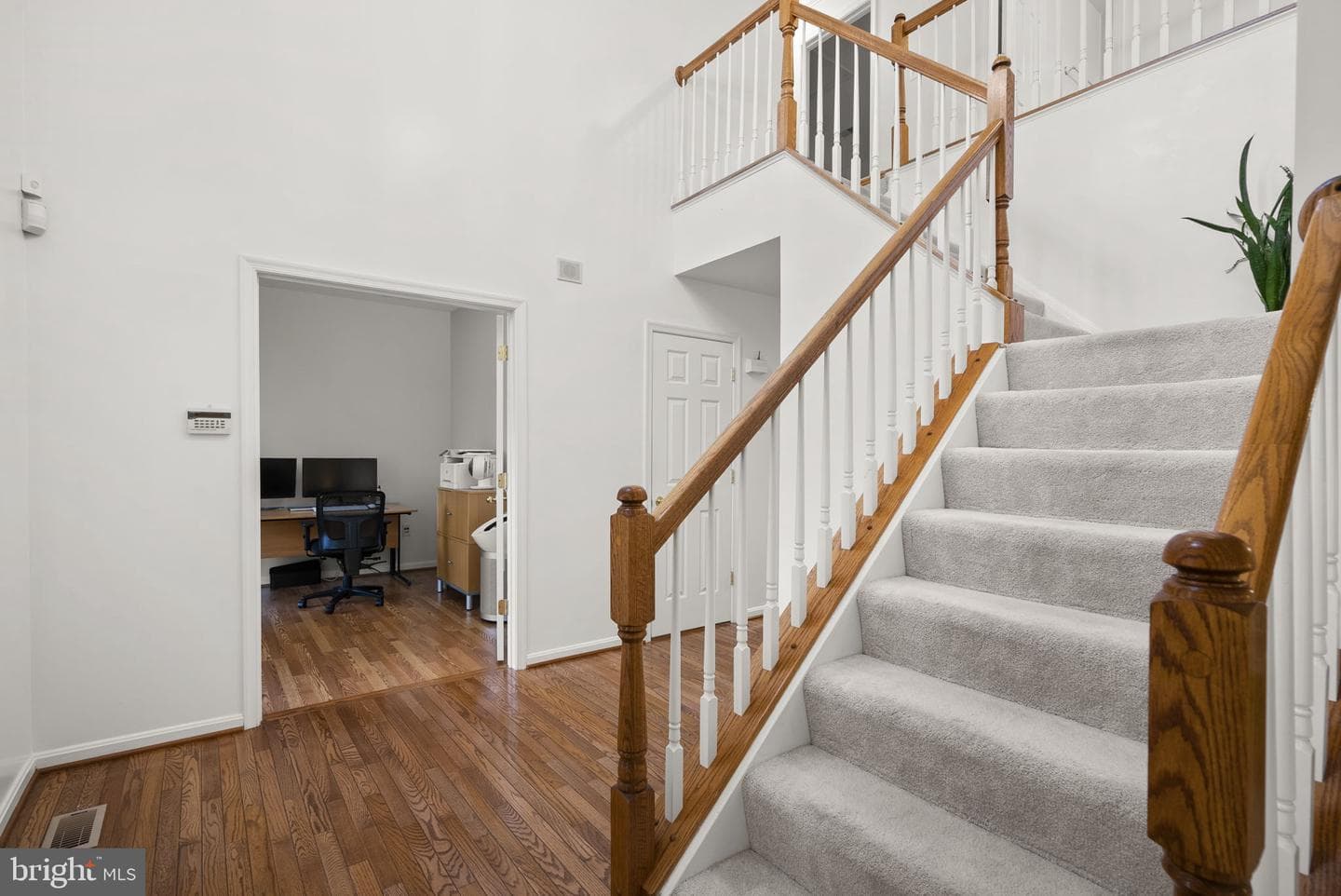 4012 Cotton Tree Lane photo 4