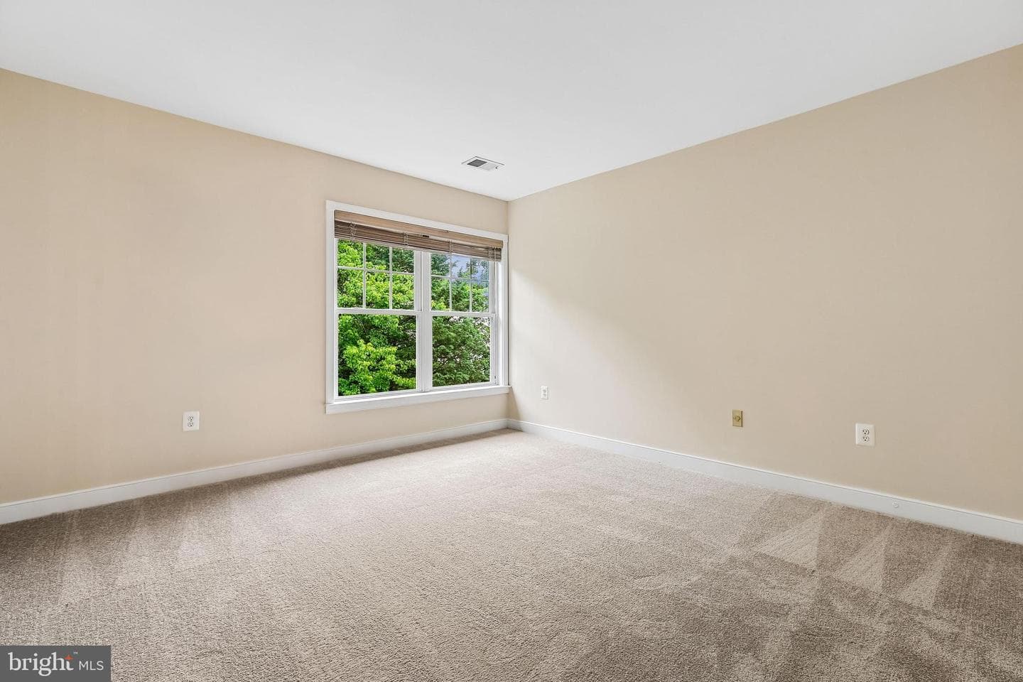 14226 Floral Park Drive photo 57