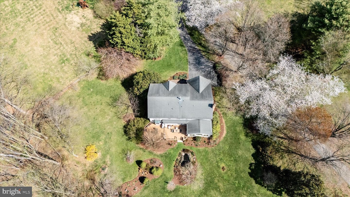 19808 Falling Spring Court photo 49