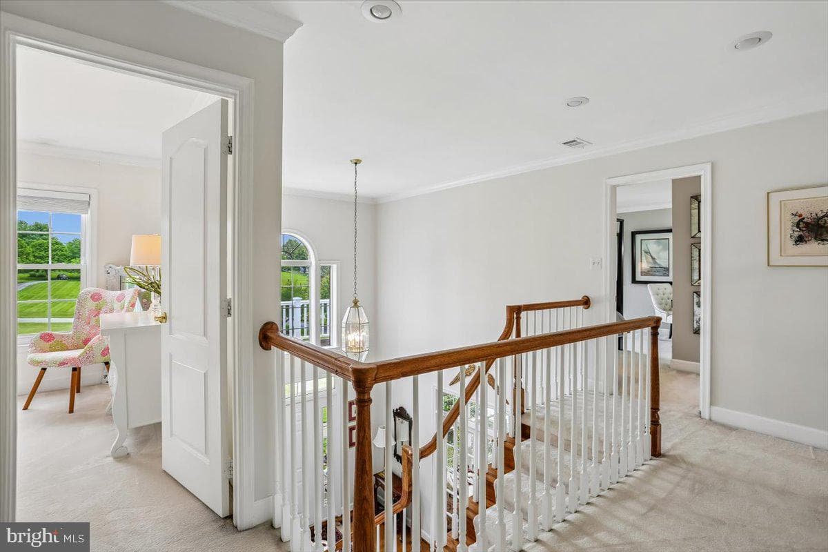 9216 English Meadow Way photo 39