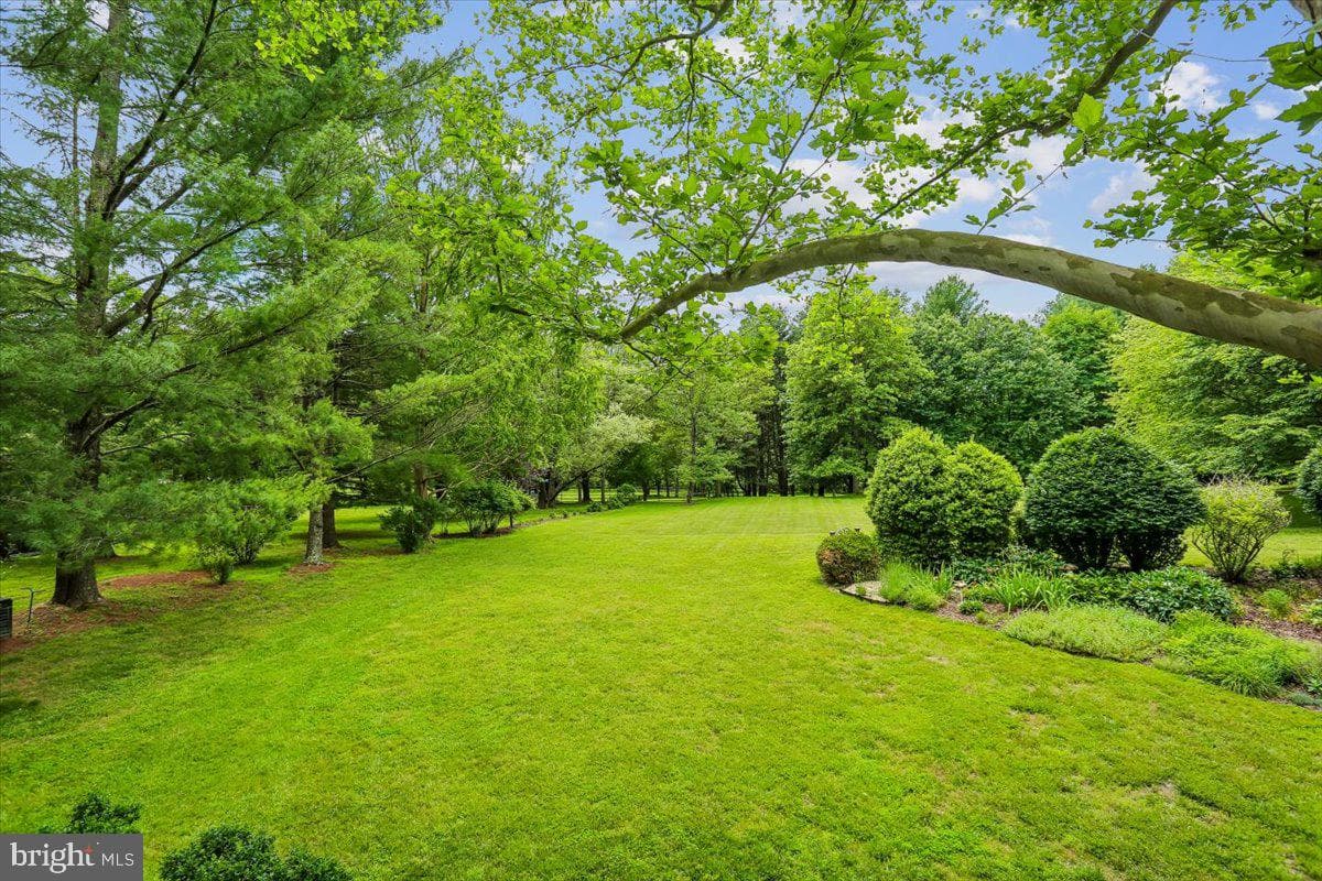 9216 English Meadow Way photo 97