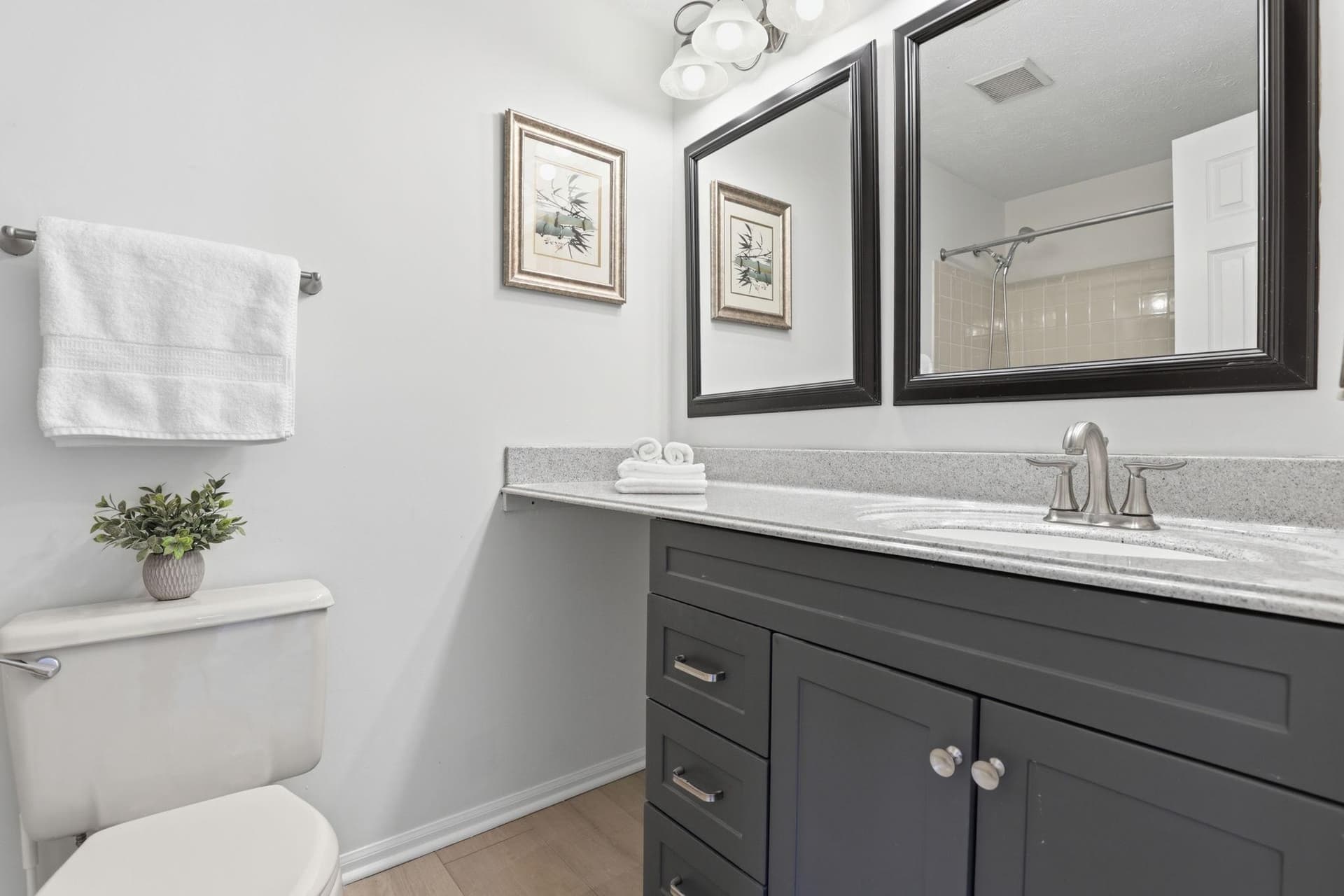 4205 White Tulip Court photo 19