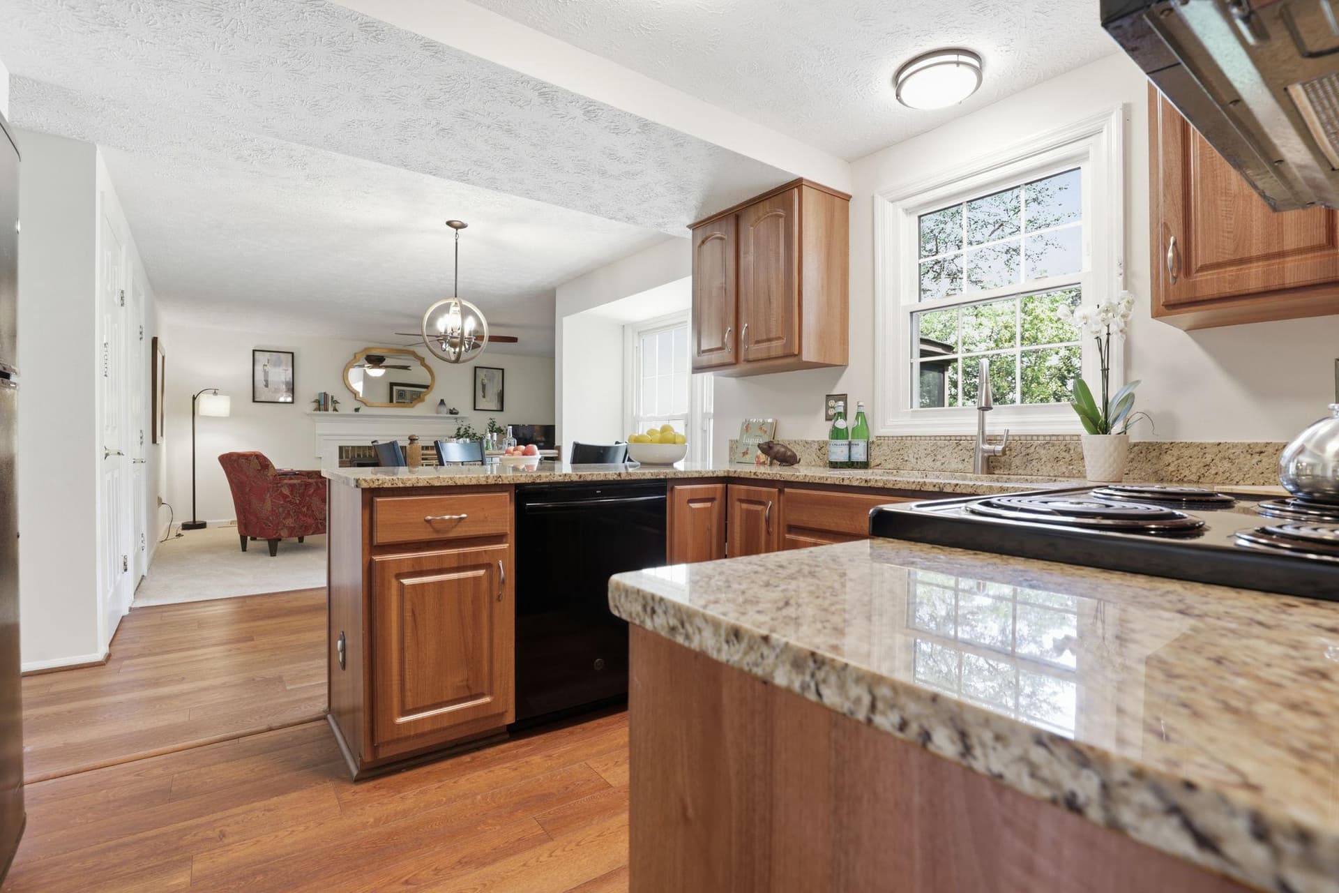 4205 White Tulip Court photo 7