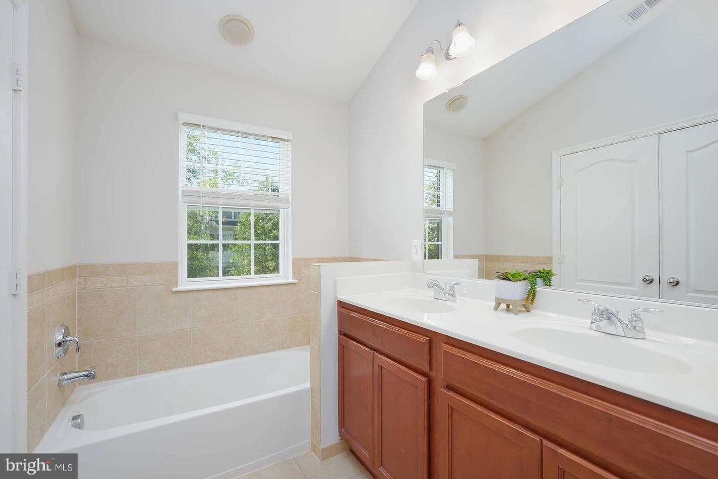 12525 Blue Sky Drive photo 18