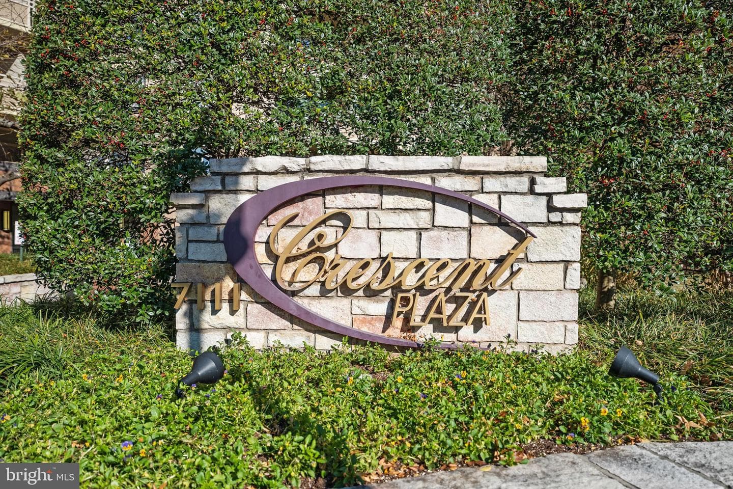 7111 Woodmont Avenue #709 photo 51